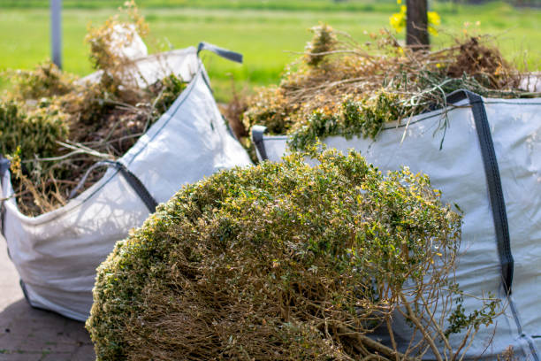 Best Junk Hauling Services  in Tipton, CA